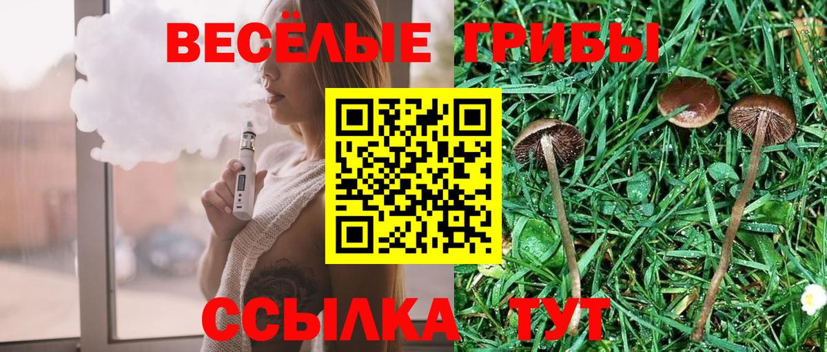 Галлюциногенные грибы прущие грибы  Вход с VPN  Псилоцибиновые грибы мухоморы  Кудрово 