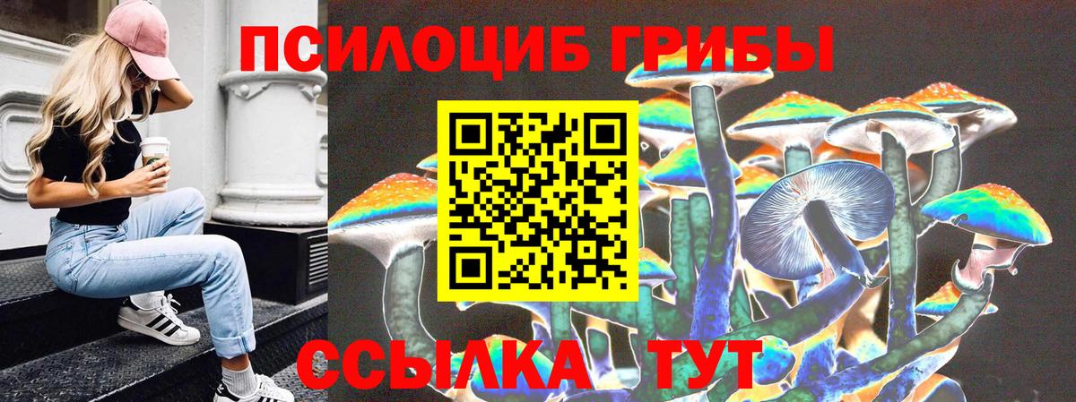Псилоцибиновые грибы Psilocybe Кудрово