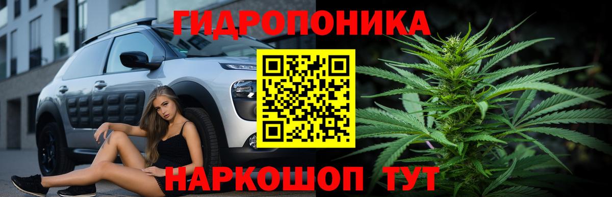 Конопля конопля Кудрово